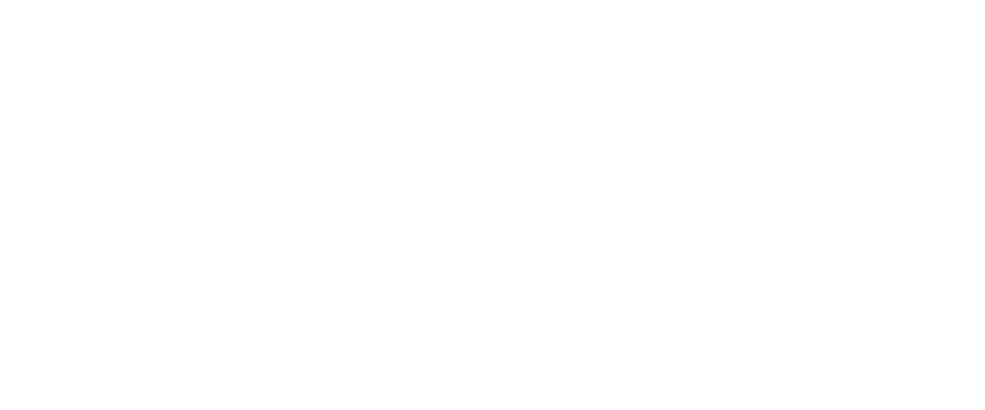 TIDIP